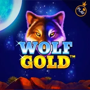 wolf gold